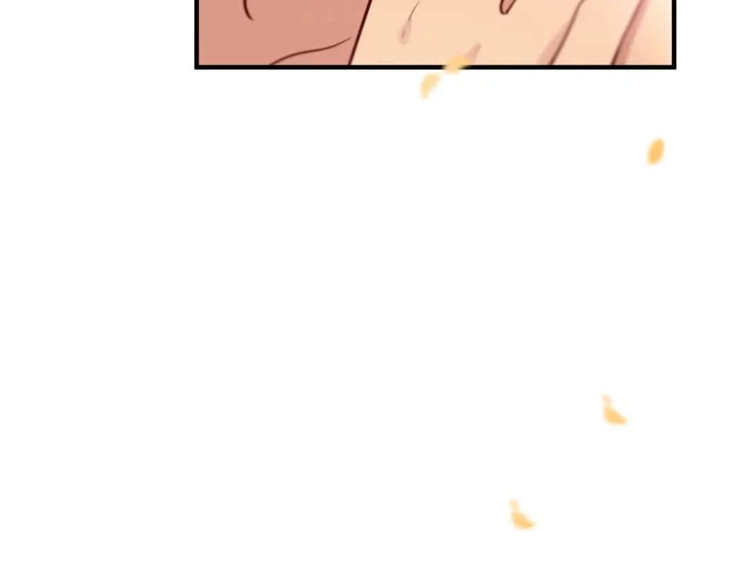 第221页