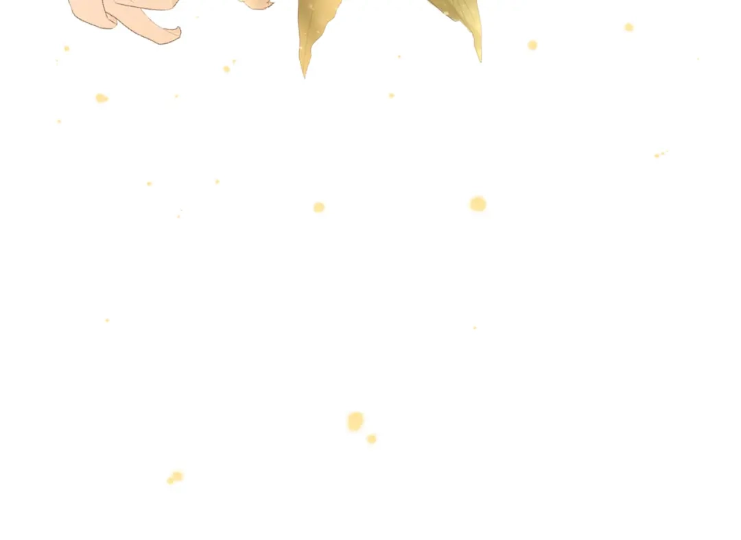 第240页