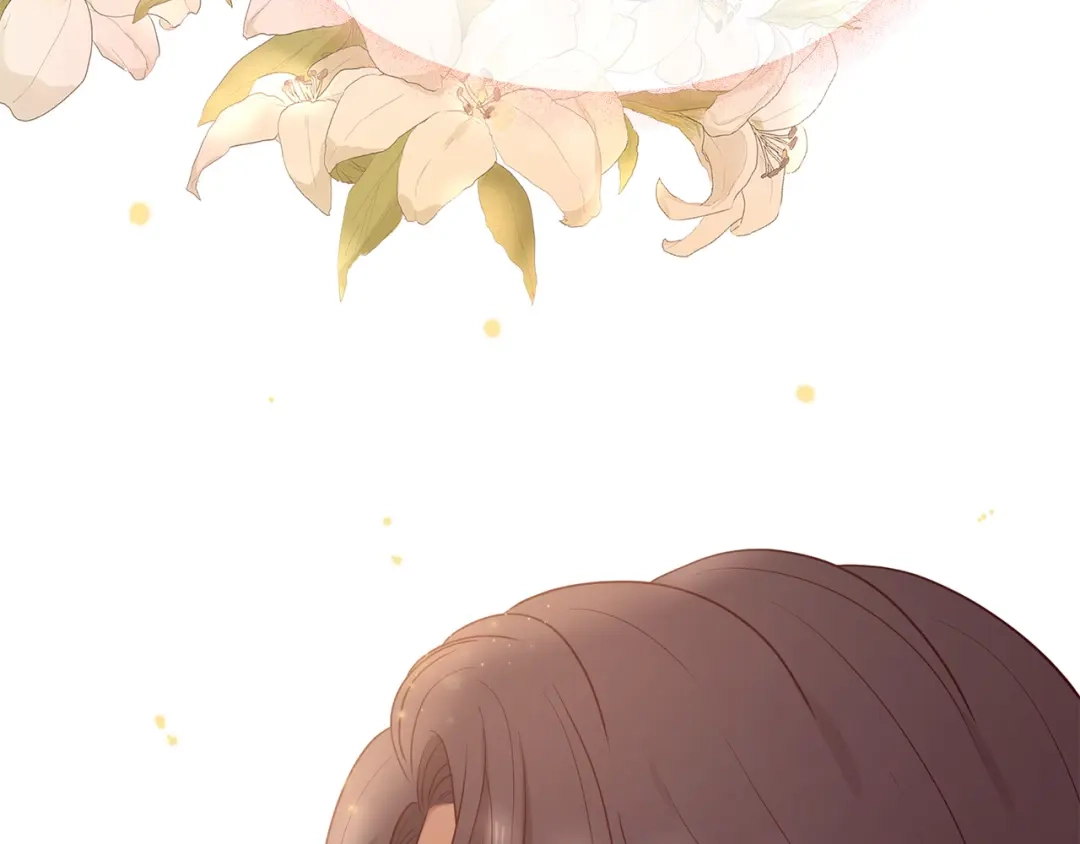 第253页