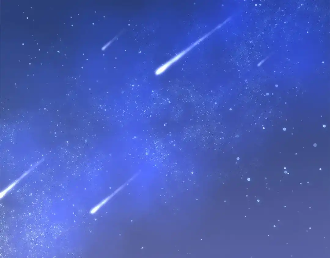 第206页