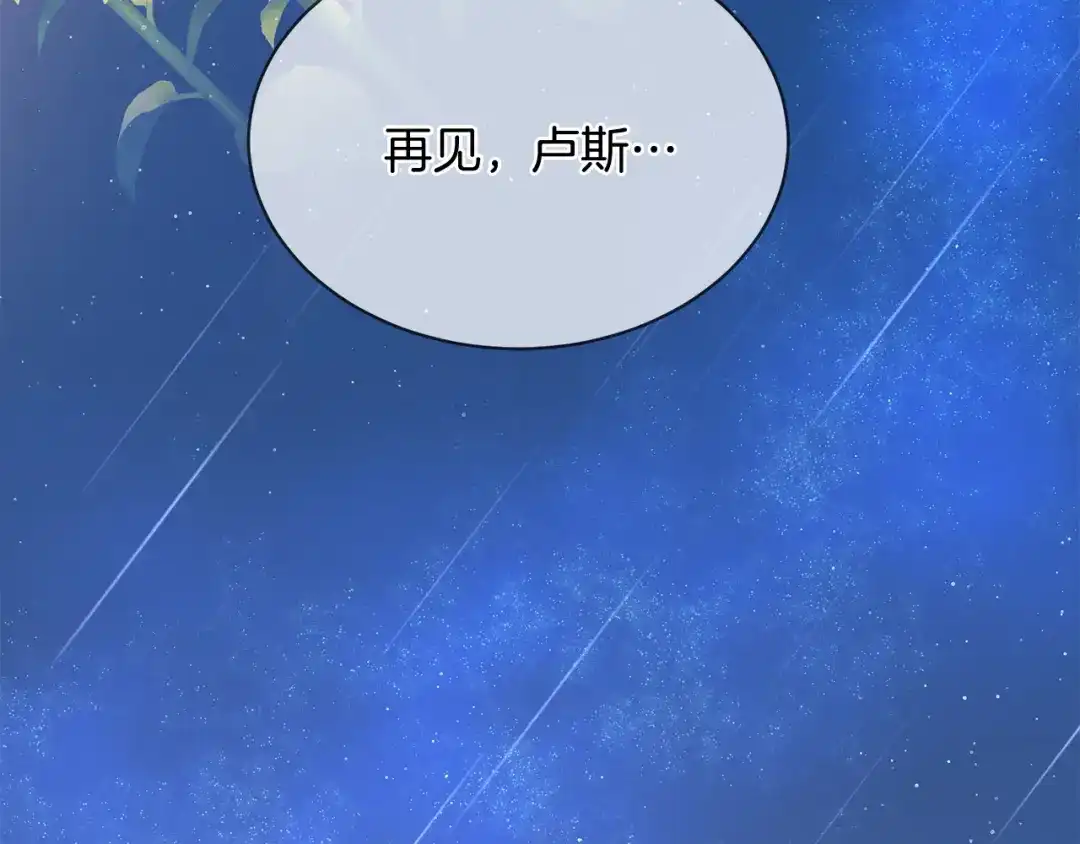 第224页