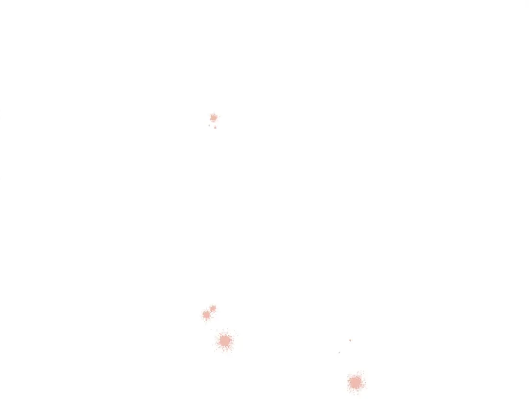 第225页