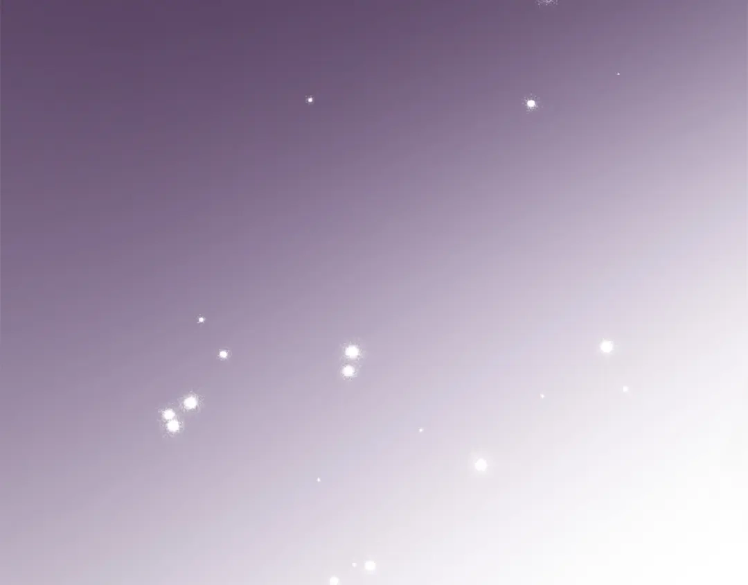 第231页