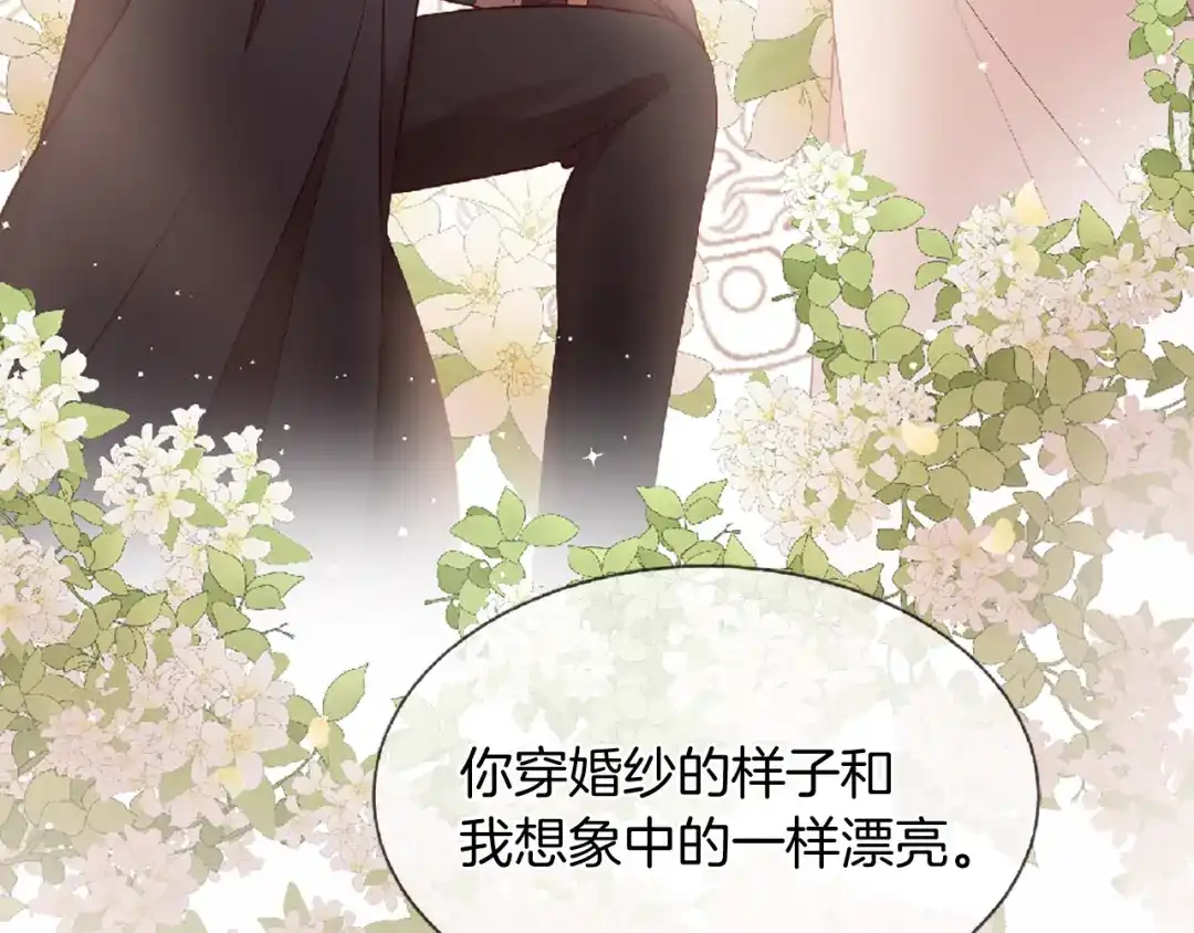 第233页