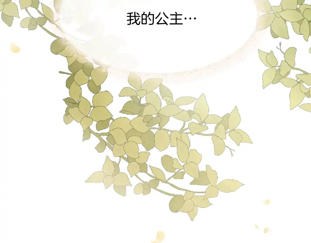 第257页