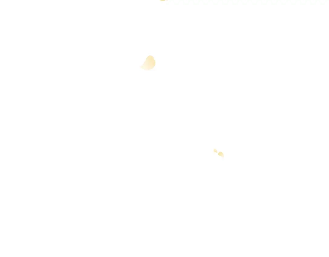 第258页