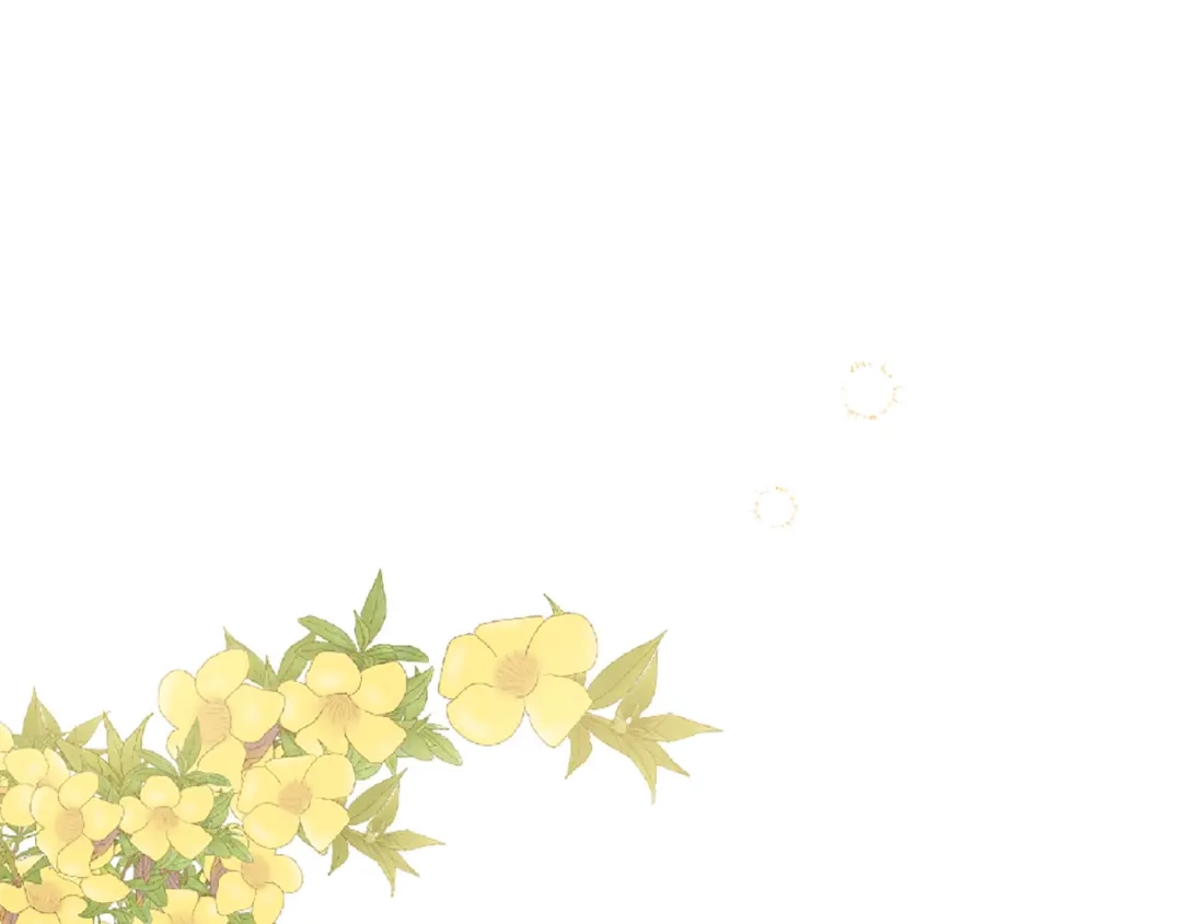 第227页