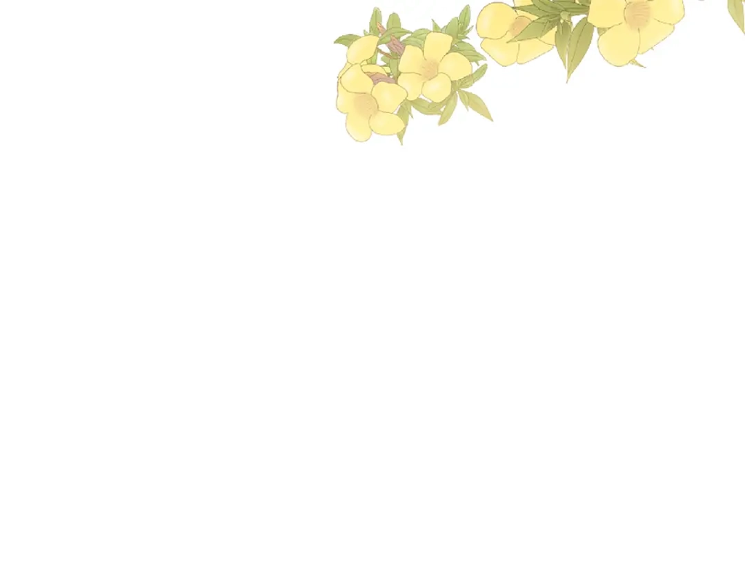 第231页