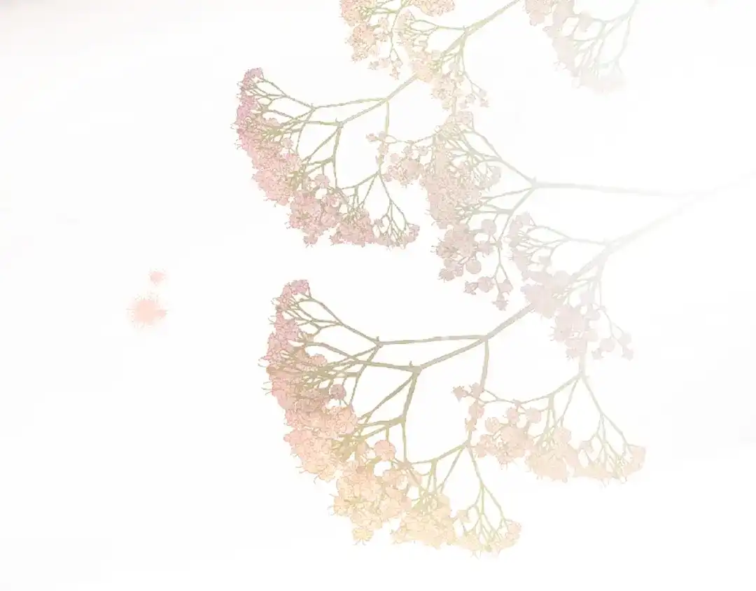 第239页