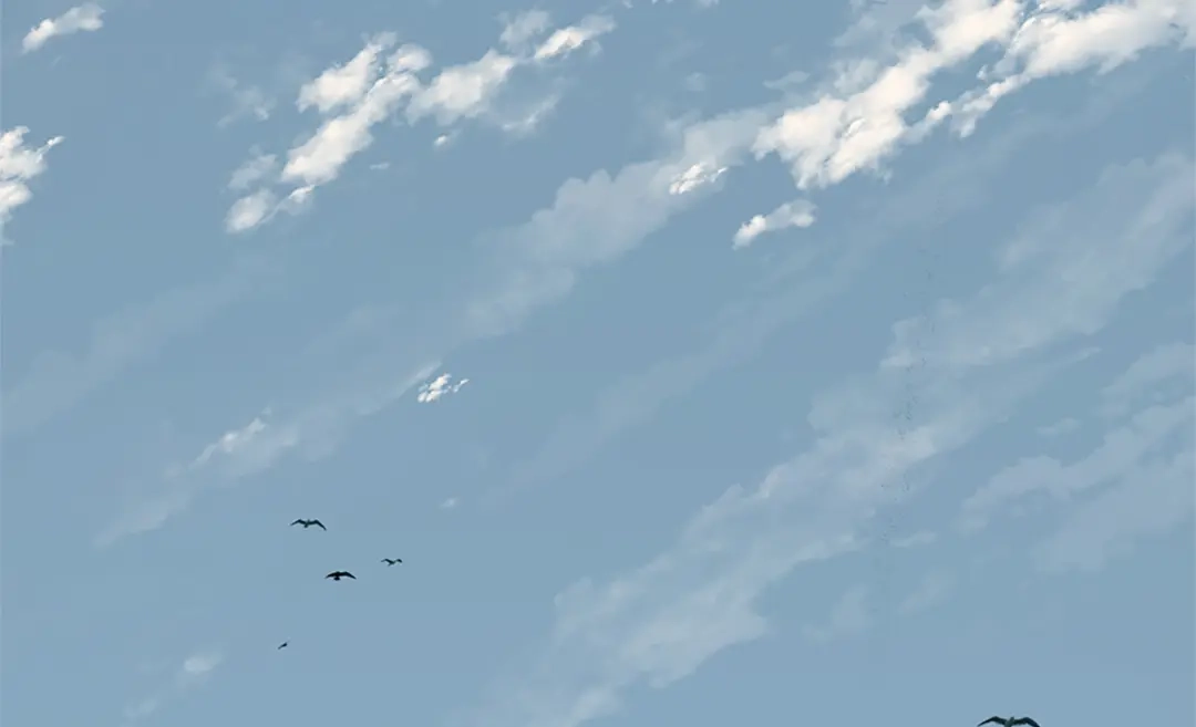 第183页