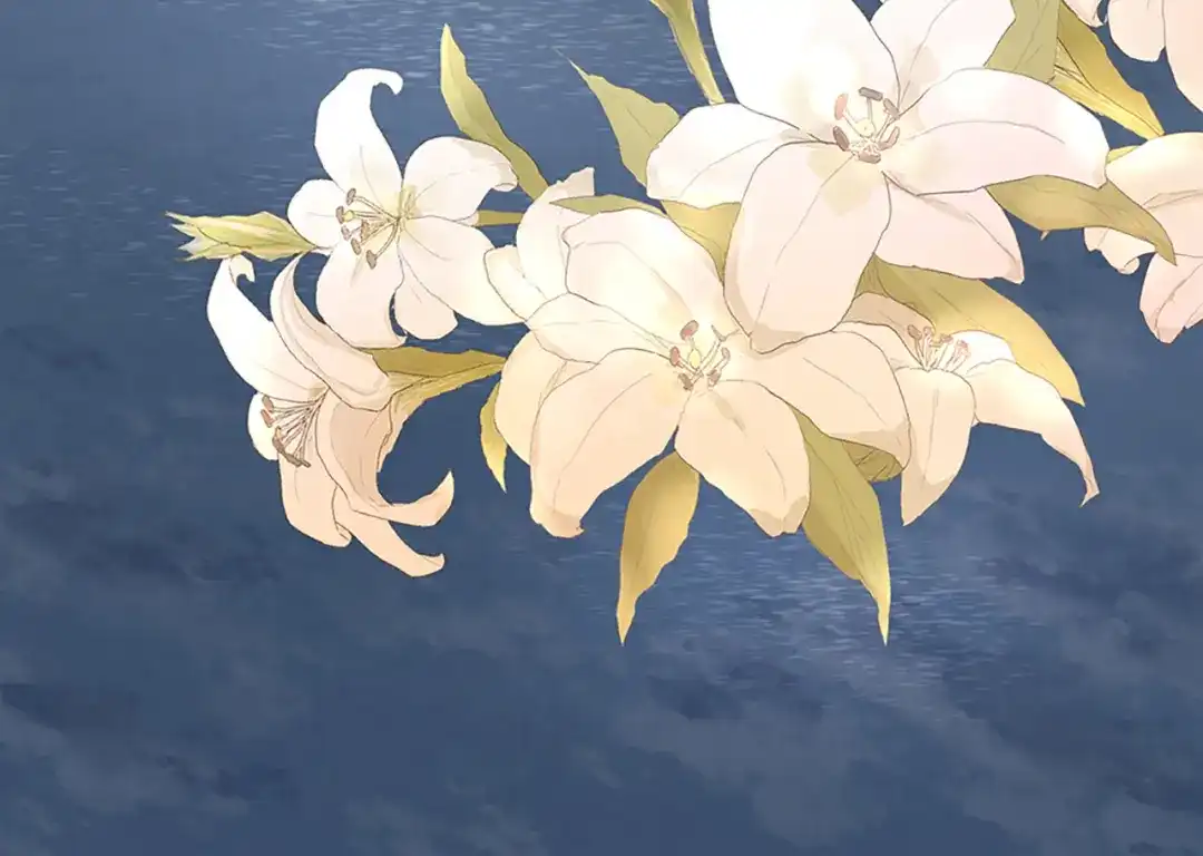 第217页