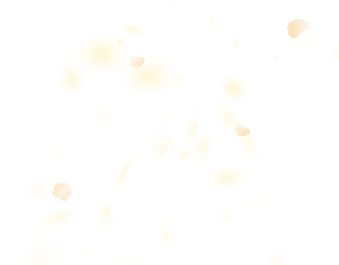 第238页