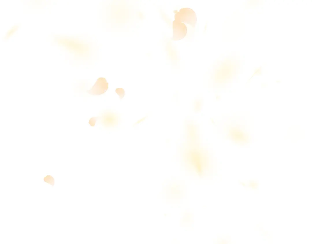 第239页