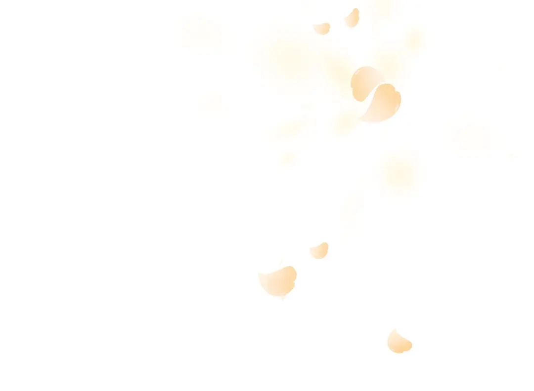 第240页