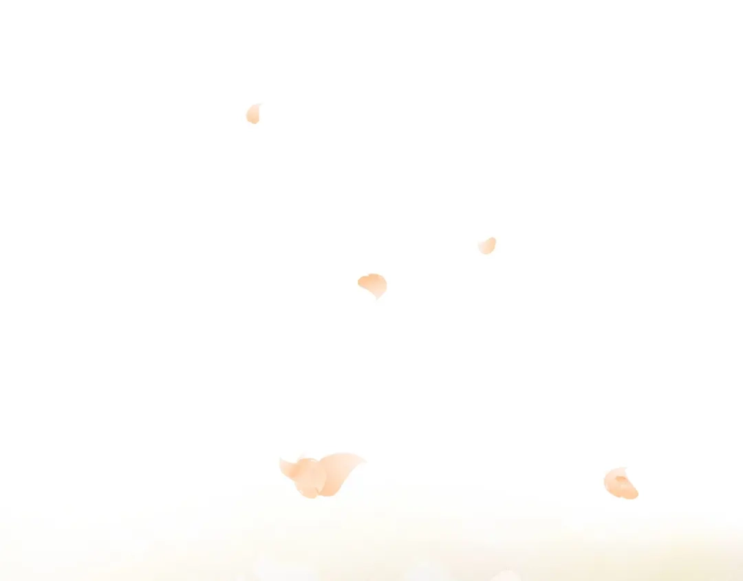 第241页