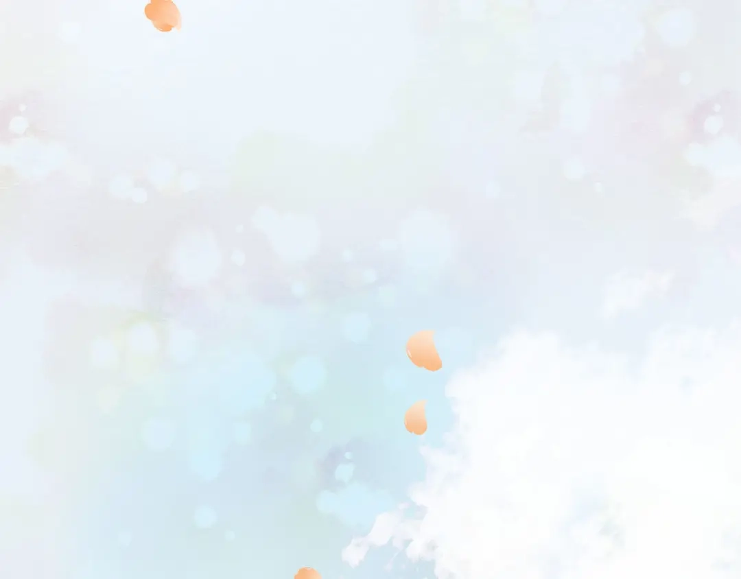 第244页