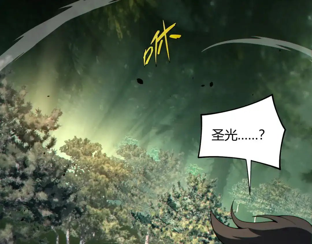 第566页