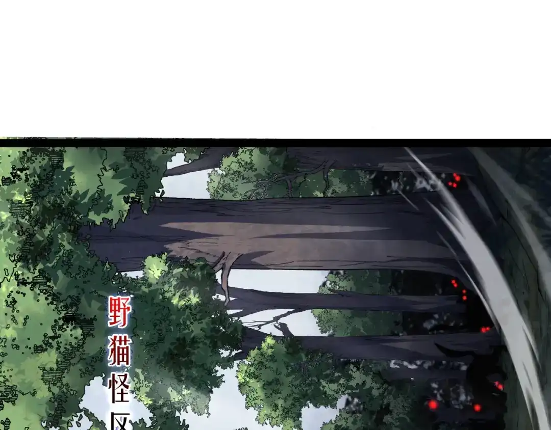 第231页