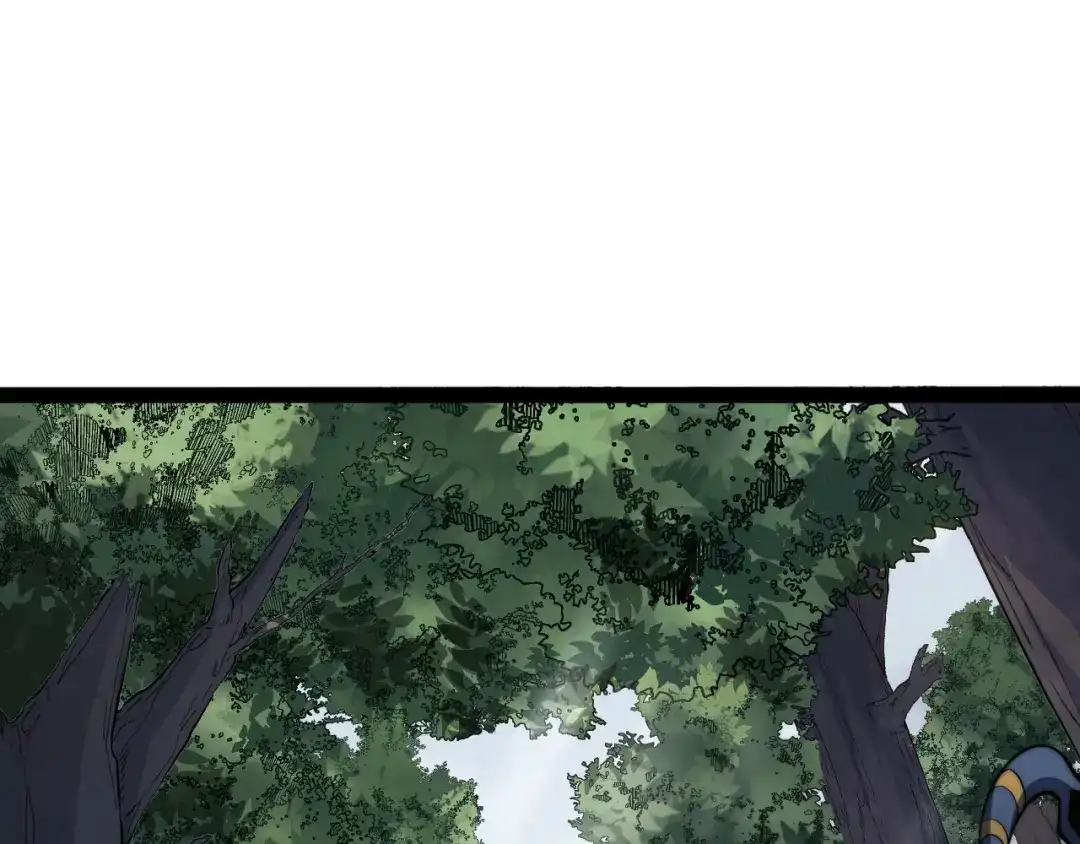 第234页