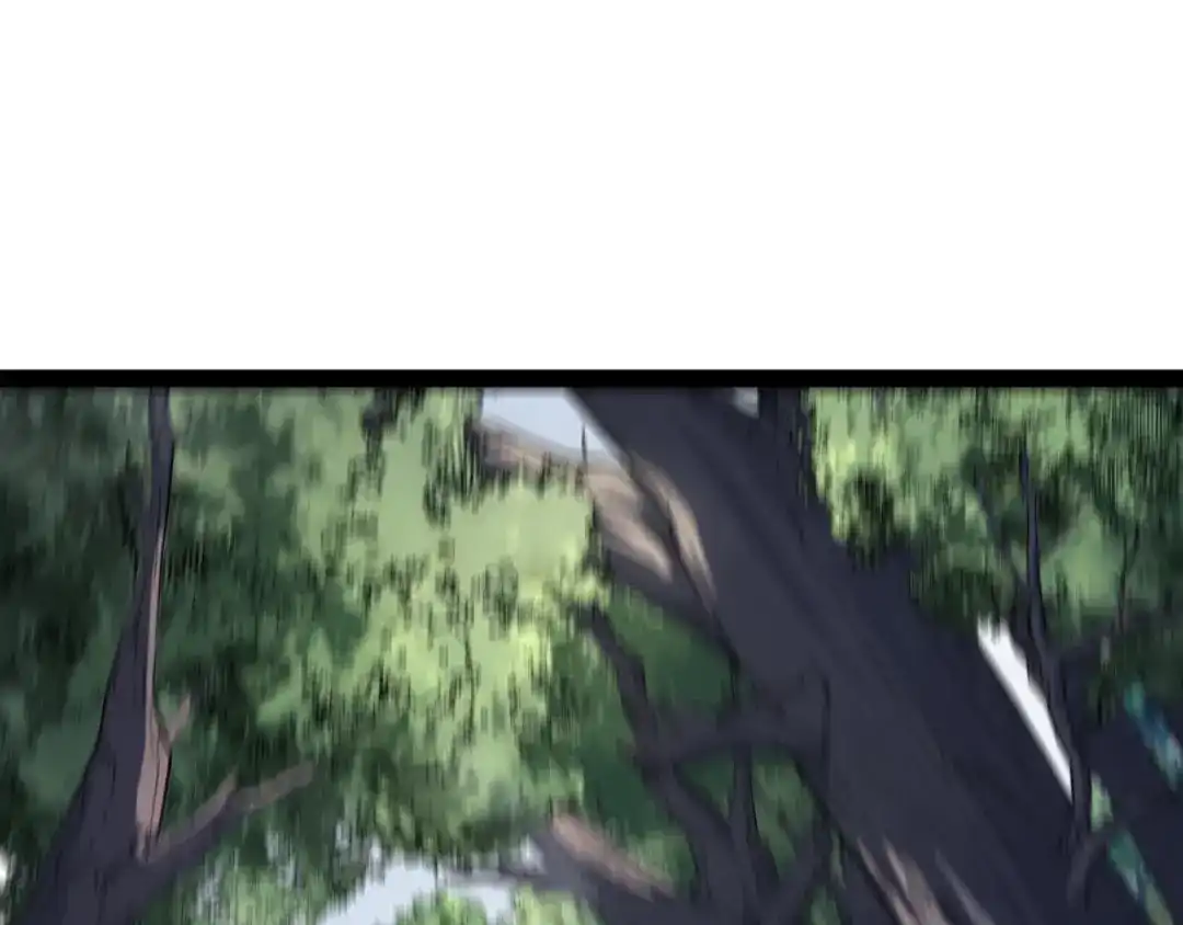 第251页