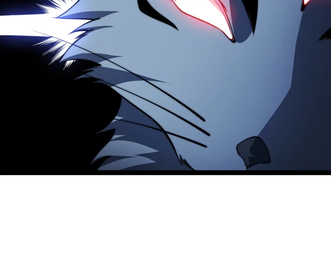 第259页