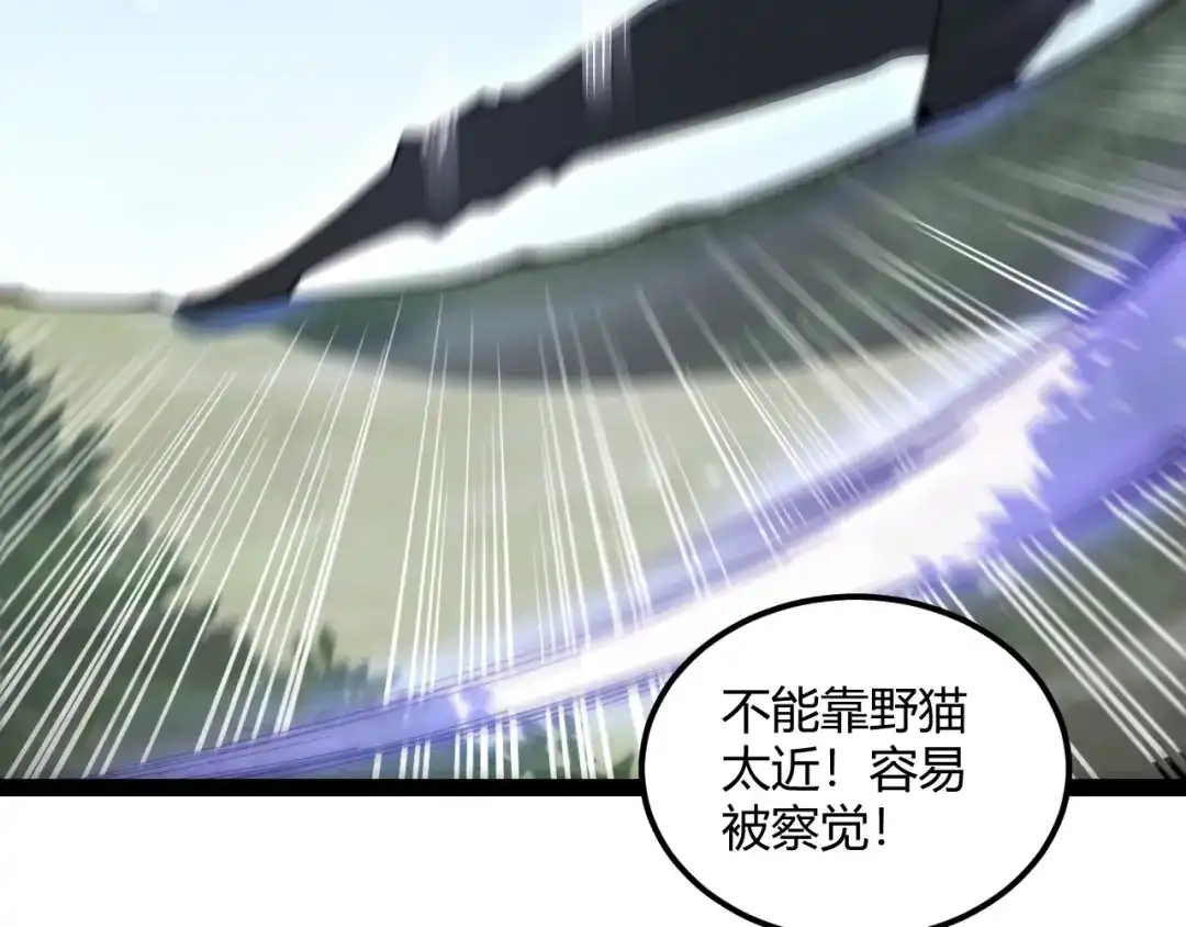 第262页
