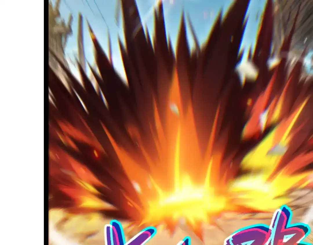 第215页