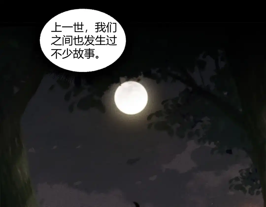 第242页