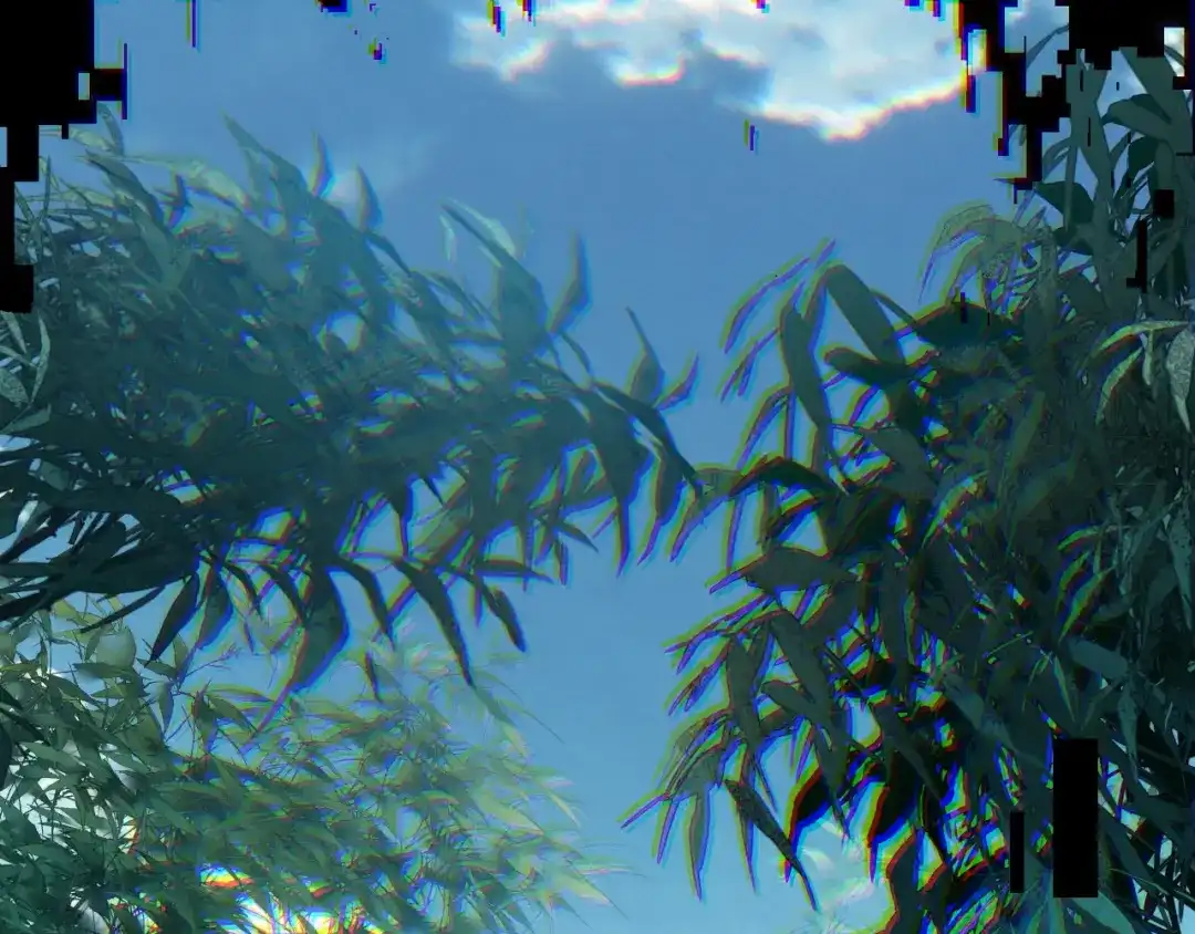 第187页