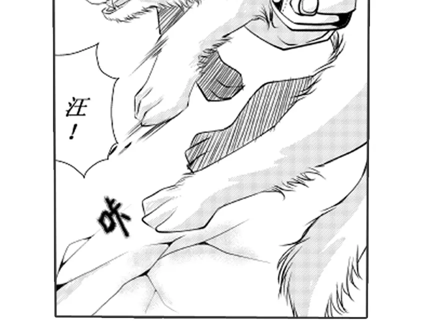 第221页