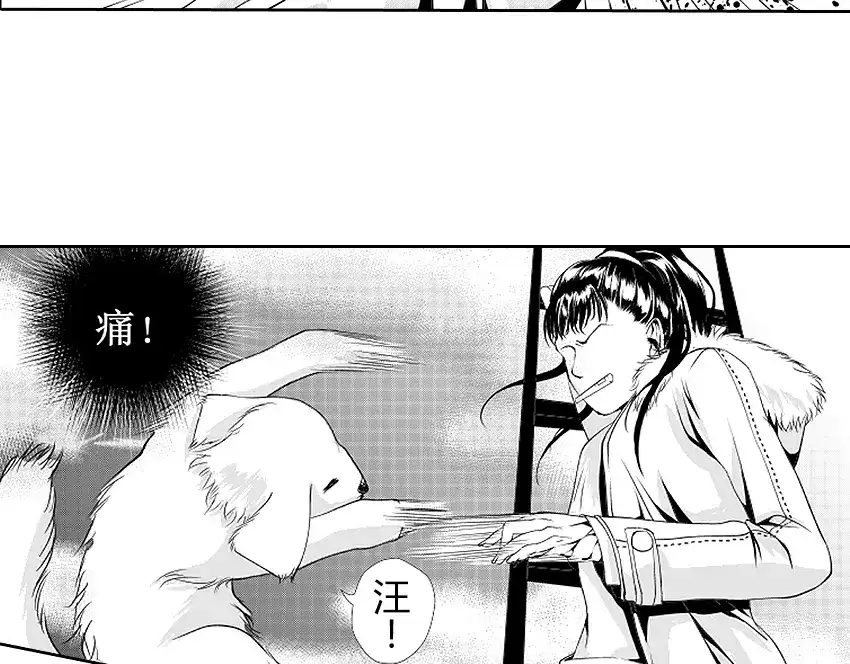 第232页