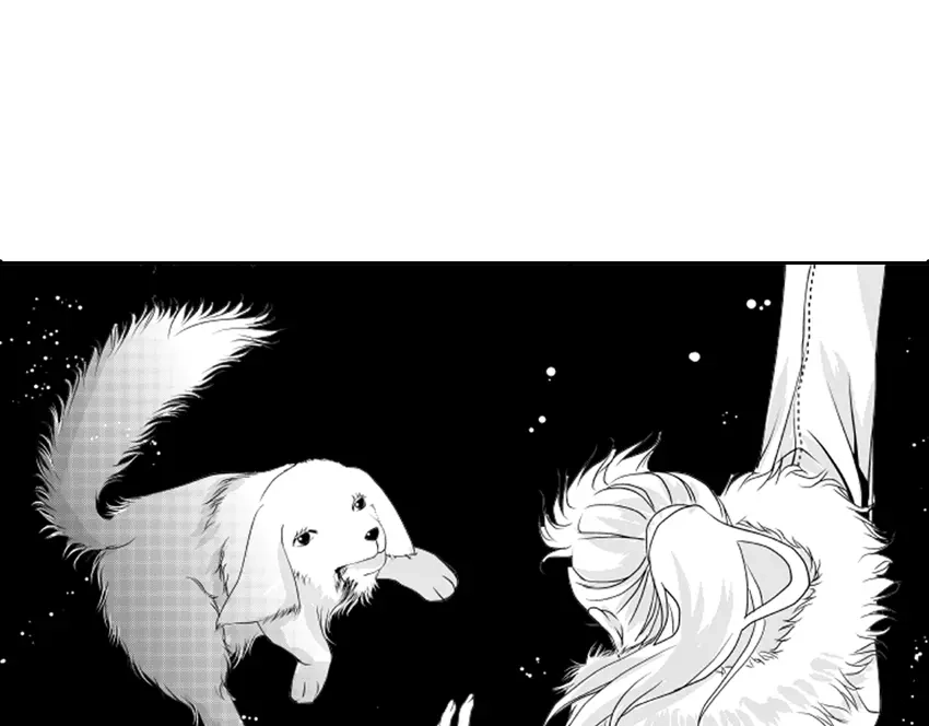 第234页
