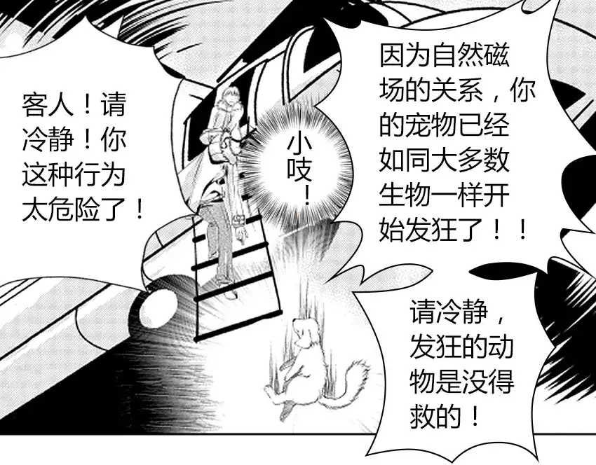 第238页