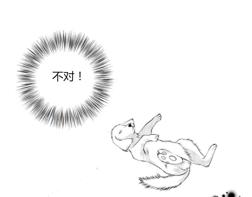 第241页