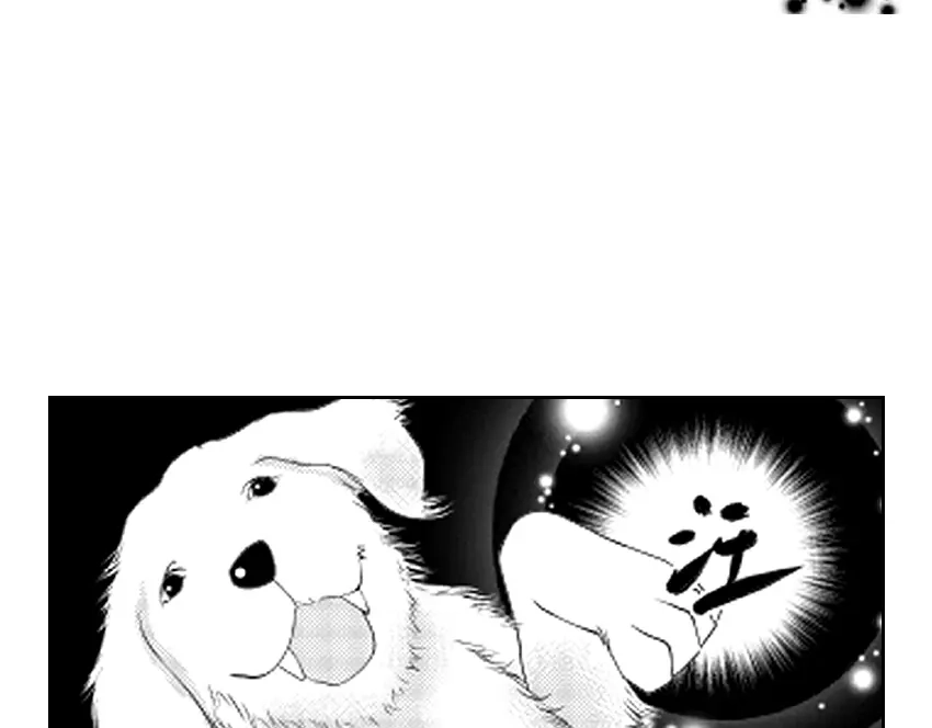 第242页