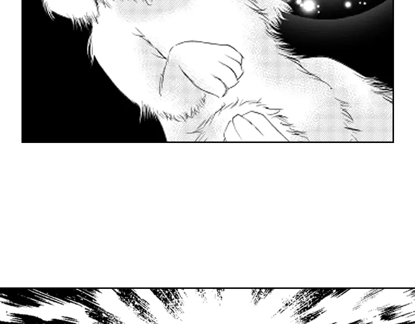 第243页