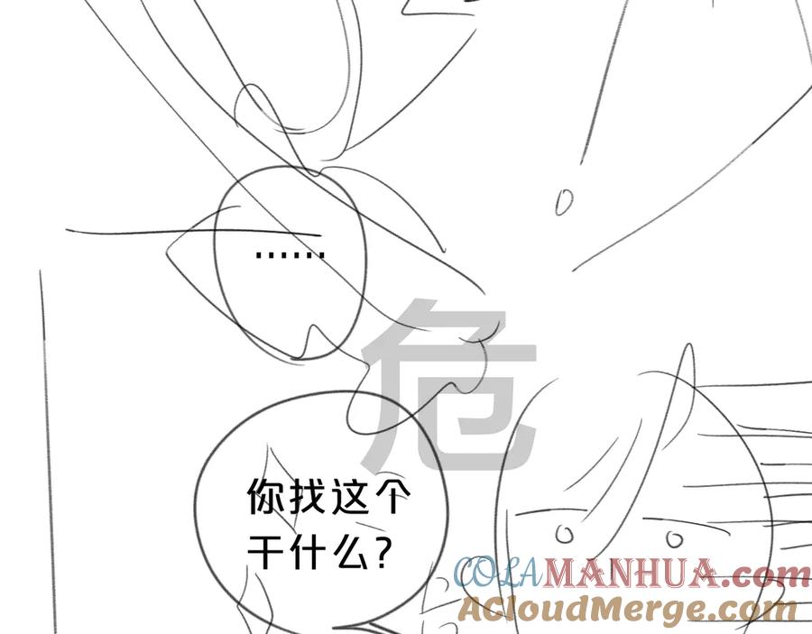 第117页