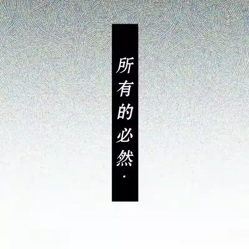 第204页