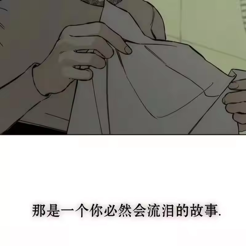 第223页