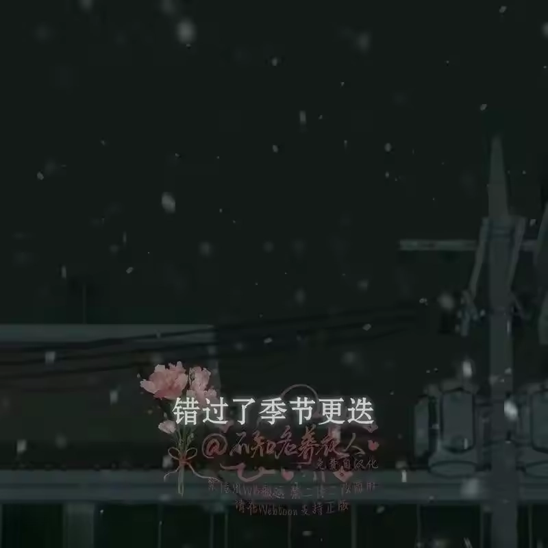 第191页