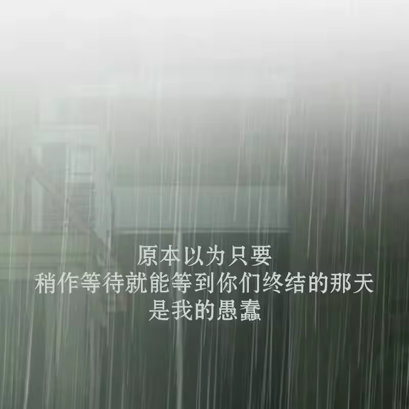 第237页