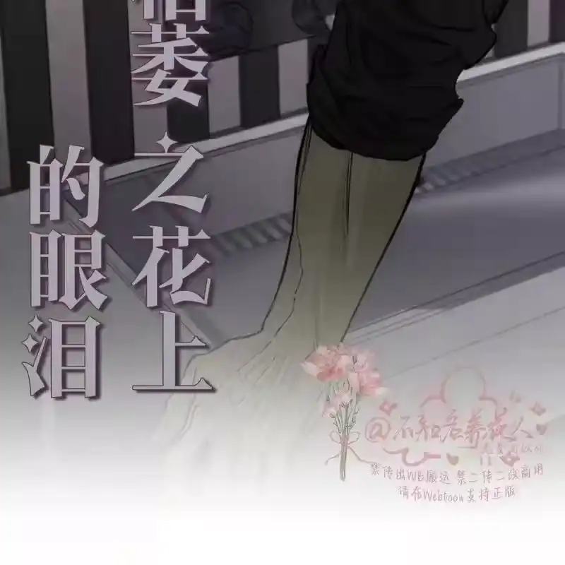 第244页