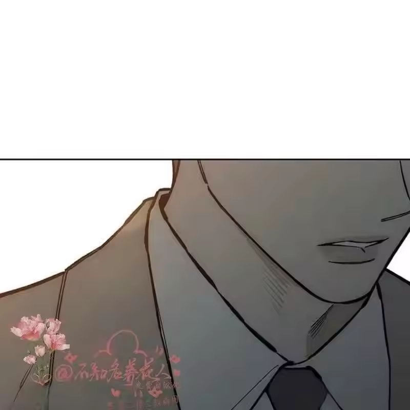 第217页