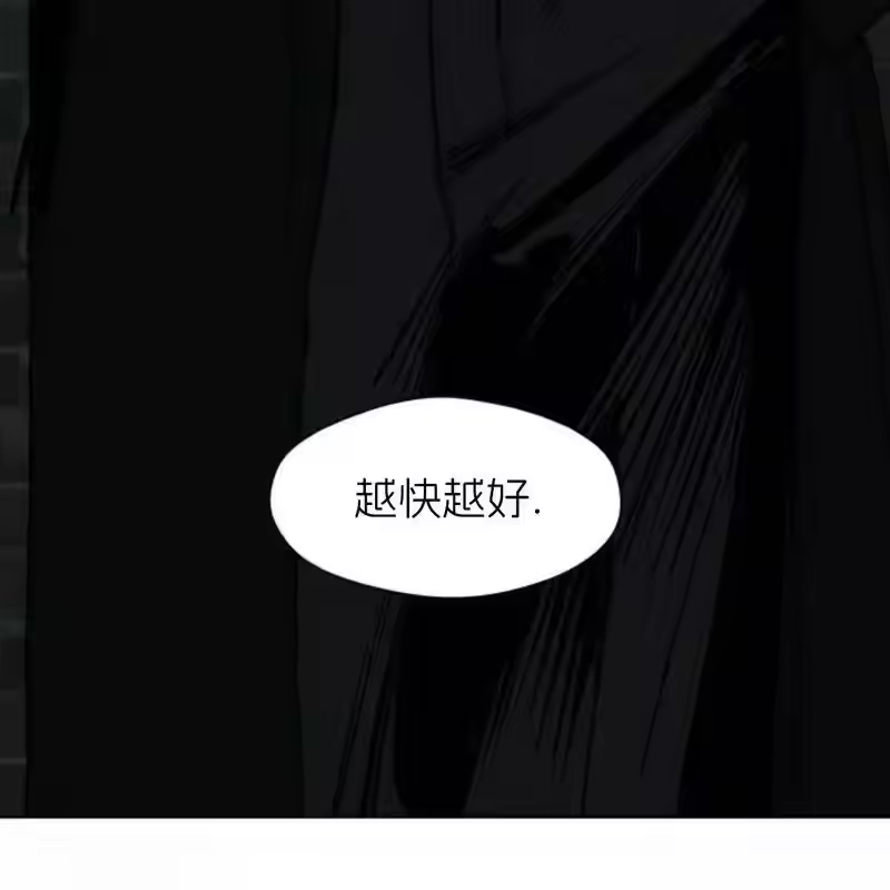 第242页