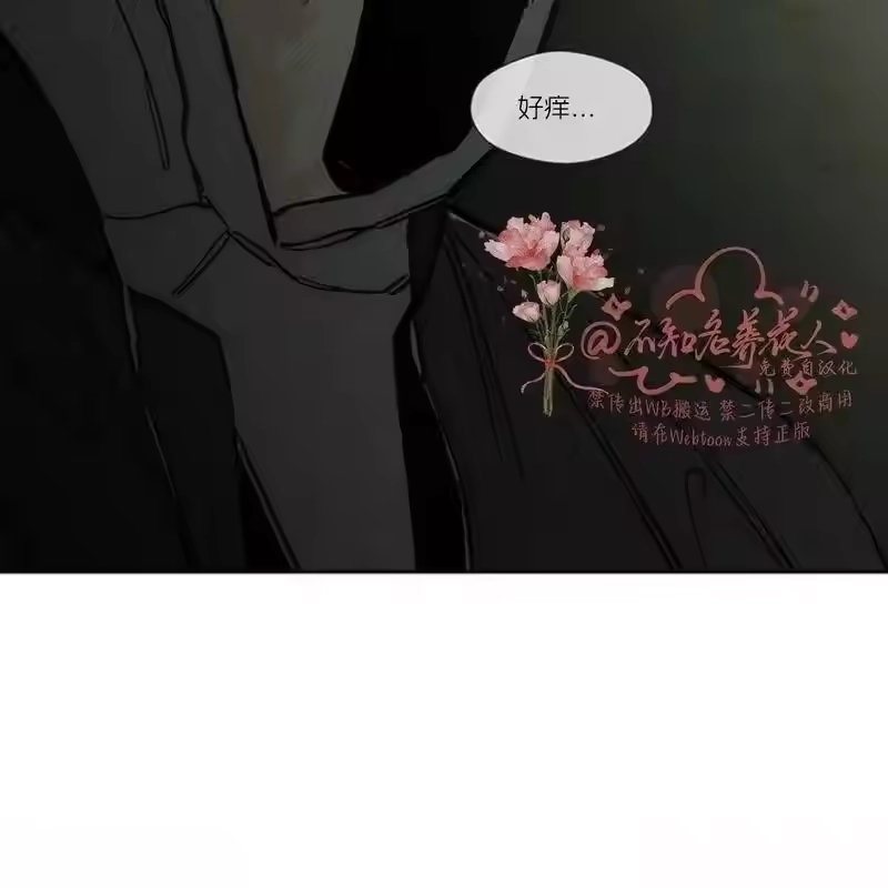 第224页