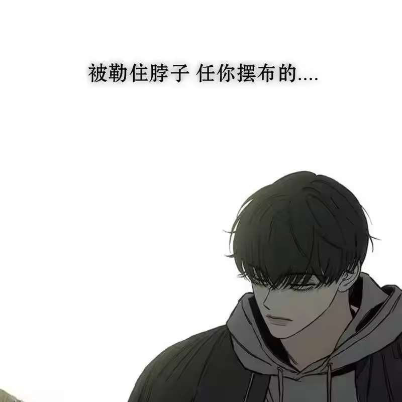 第206页