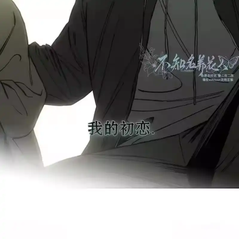 第207页
