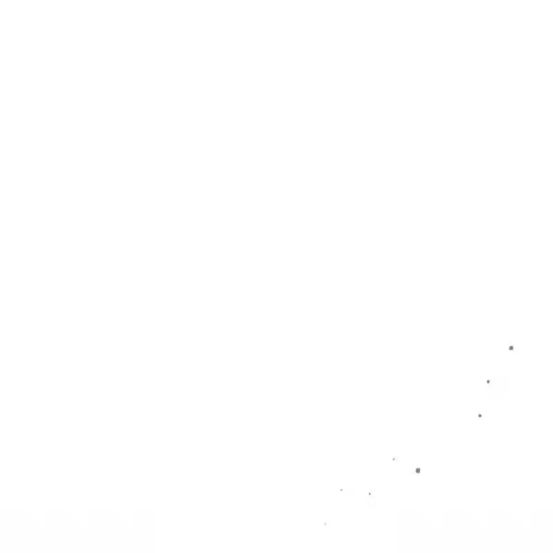第217页