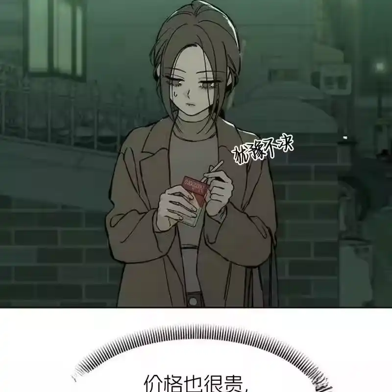 第224页