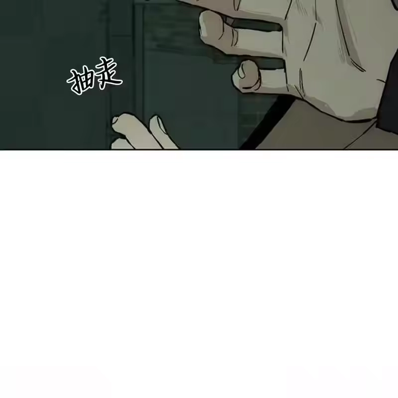 第231页
